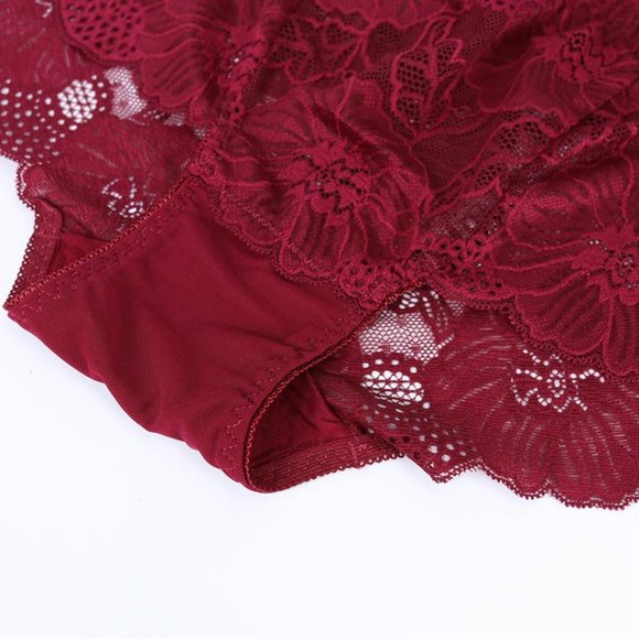 Lace Brief Panties - Picture 9 of 9